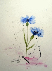 Kornblume (verkauft)